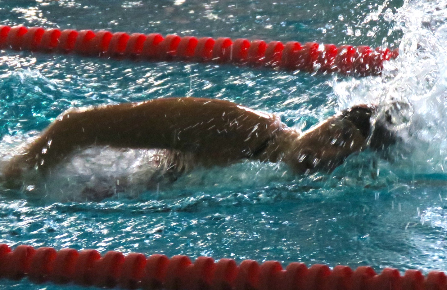Danielle Carlson swims during a meet versus Lewiston-Porter last Friday. Carlson won the 200-yard freestyle with a time of 2:01.07, the 100-yard freestyle with a time of 55.05 and was part of the 200-yard freestyle relay team, which took first place with a time of 1:48.34. (Photo by David Yarger)